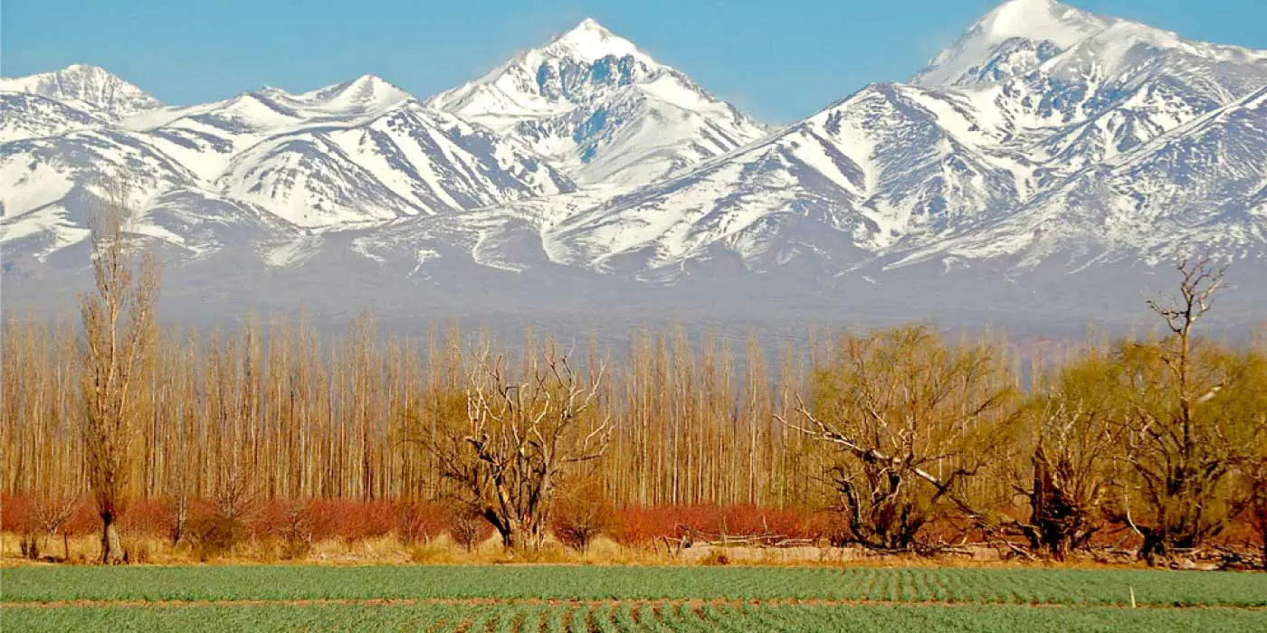 Winery in Mendoza, Argentina