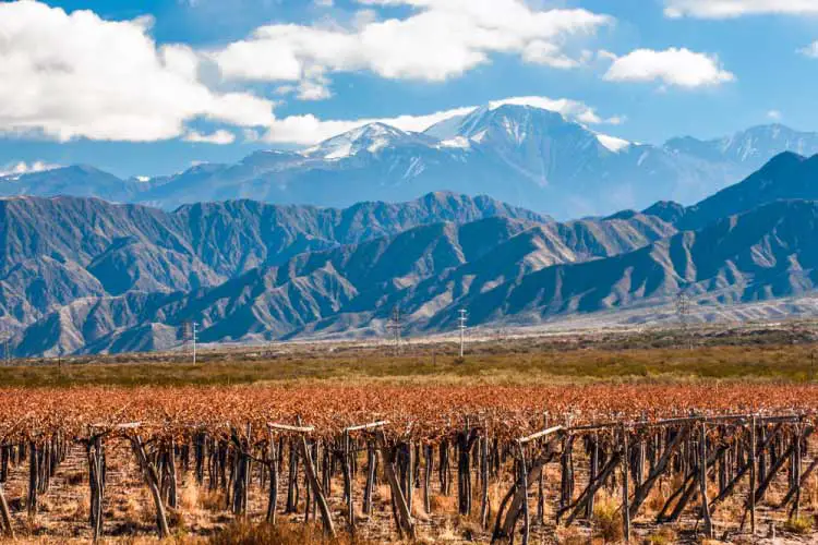 Mendoza, Argentina. Volcano, Aconcagua and Vineyard in background