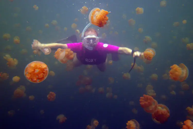 Swimming with Jellyfish in Palau
