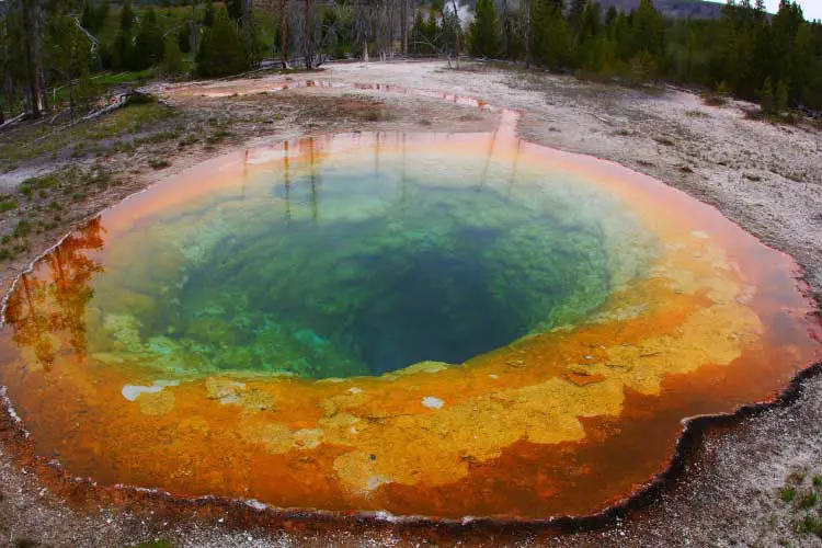 Morning Glory Pool, Yellowstone National Park