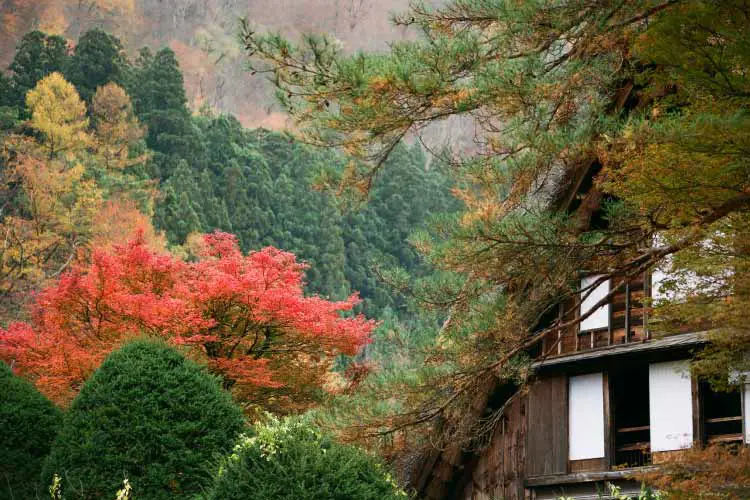 The Wada House, Shirakawa-go