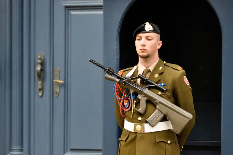 Web-Guard-at-the-Grand-Ducal-Palace