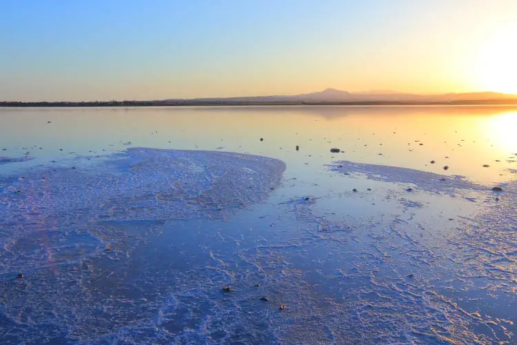 Larnaca Salt Lake