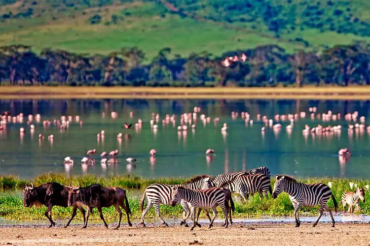 Ngorongoro Crater, Tanzania, East Africa