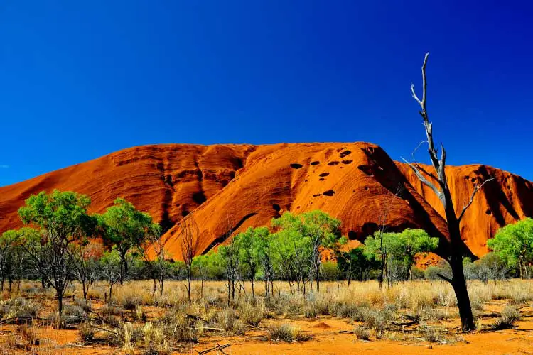 Uluru-Kata Tjuta National Park Shutterstock Uluru-Kata Tjuta National Park