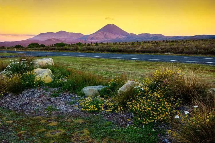 Volcano in Tongariro National Park