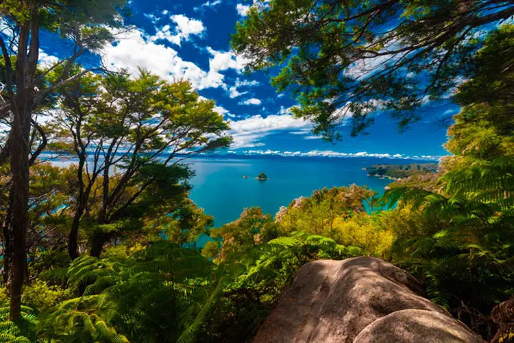 Abel Tasman National Park, New Zealand