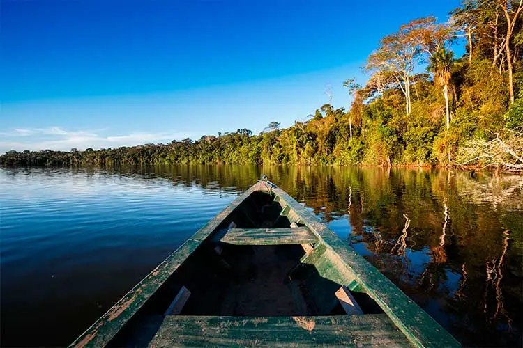 Amazon in Brazil