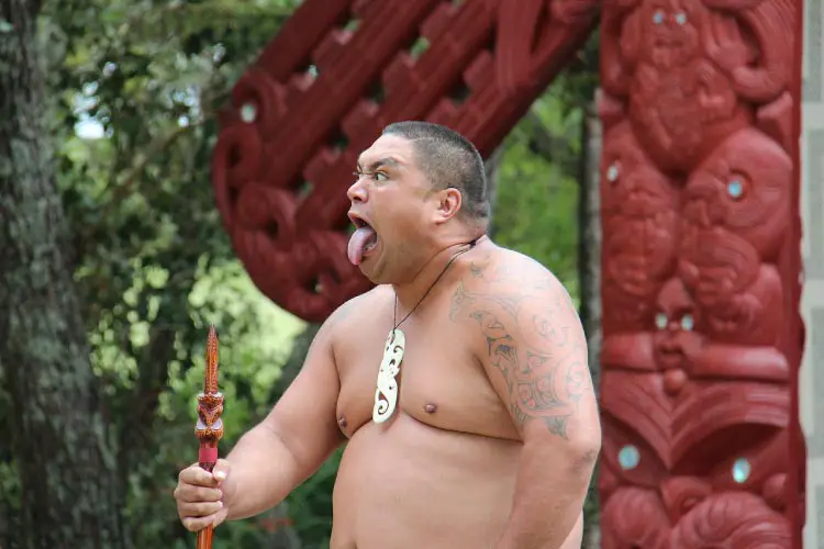 Maori Man, native to Australasia