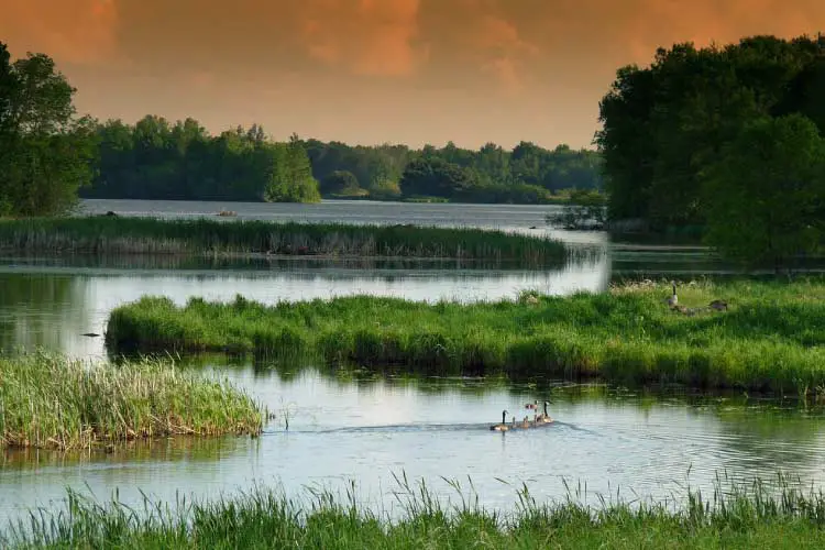 Wisconsin Lake