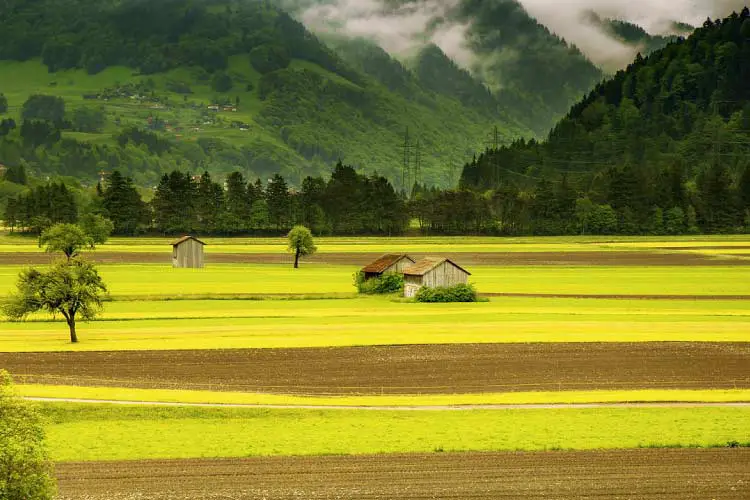Meadow in Switzerland
