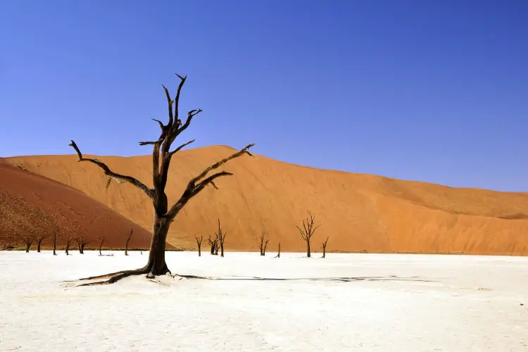 Deadvlei, Namibia