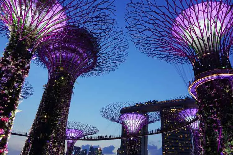 Garden by the Bay, Singapore