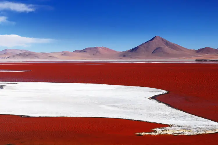 Lagoon Colorada, Bolivia in Central South America