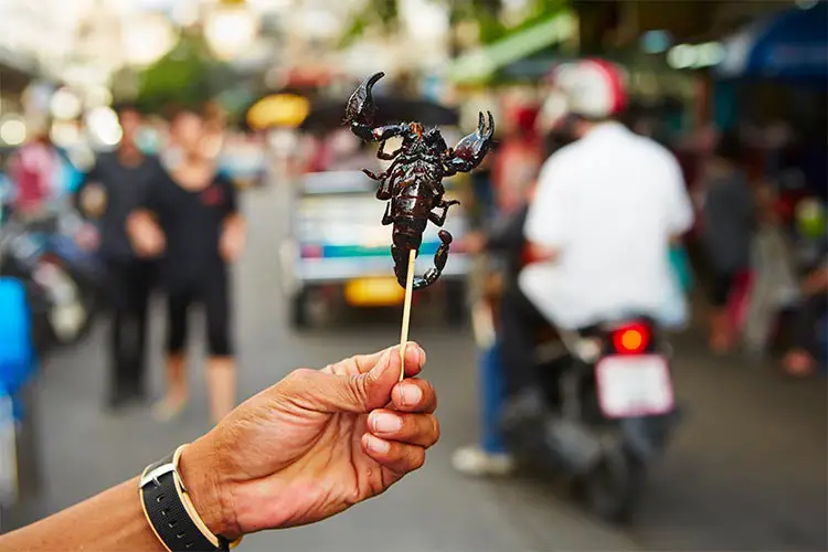 Roasted scorpion in Southeast Asia