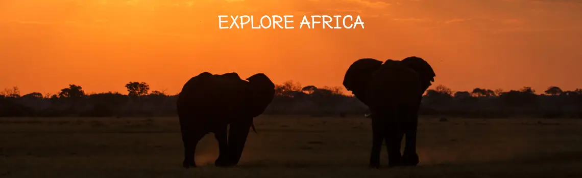 Explore Africa