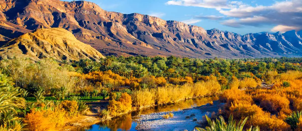 Lush oasis landscape in the Moroccan desert