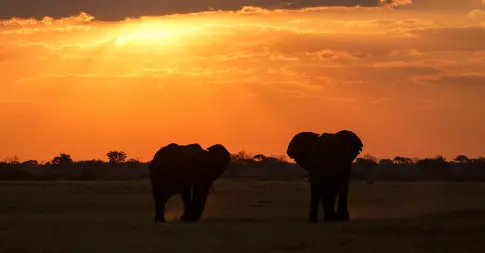 Africa - Top Regions & Countries to Explore