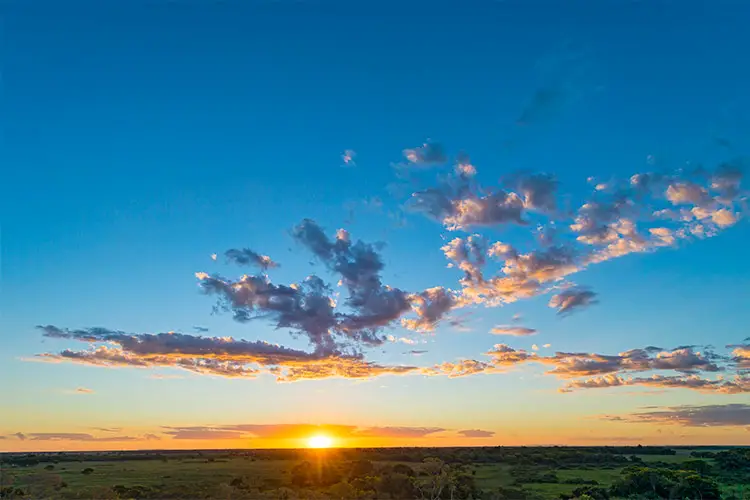 Sunset in the Pantanal