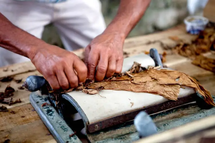 Cigar rolling