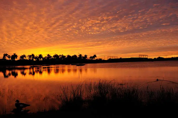 Dania Beach, Florida