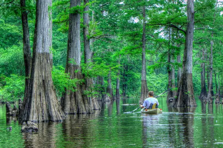 Harrell Bayou, Louisiana