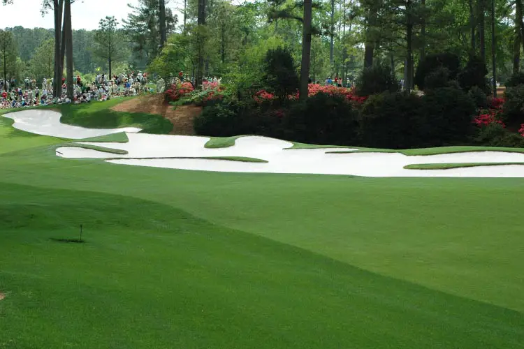 Masters. Fairway at Augusta