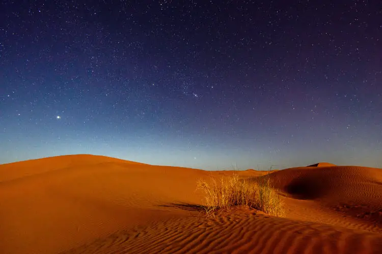 Night in the Sahara Desert