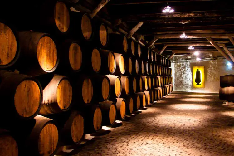 Sandeman Porto Winery, Porto