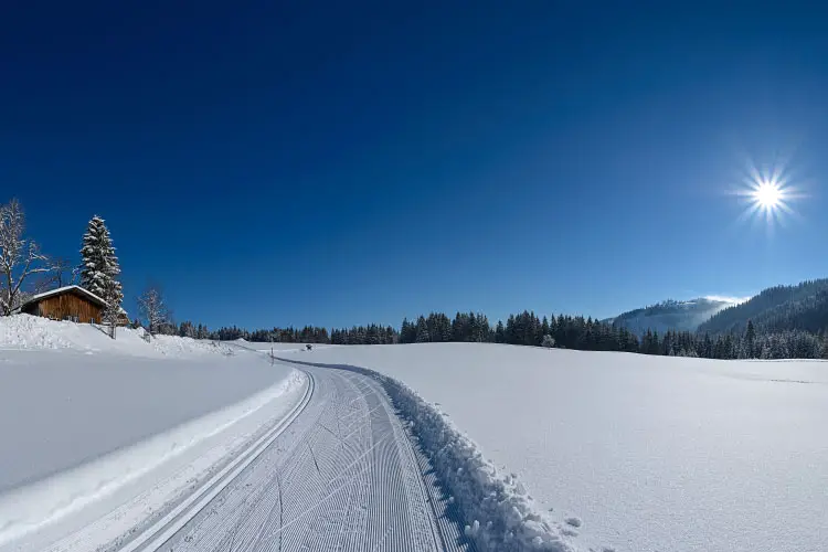 Skiing in Feldberg