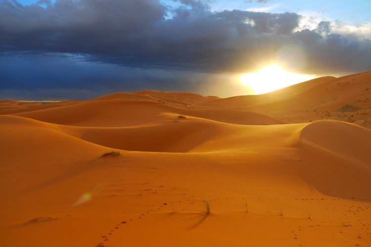 Sunset in the Sahara