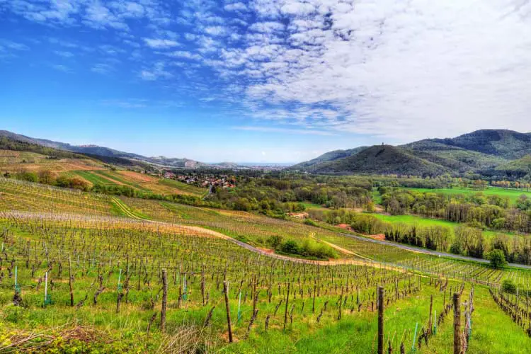 Valley of Munster, Walbach, Alsace