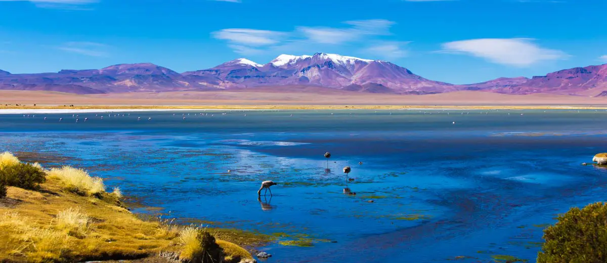 Explore Chile Featured Image