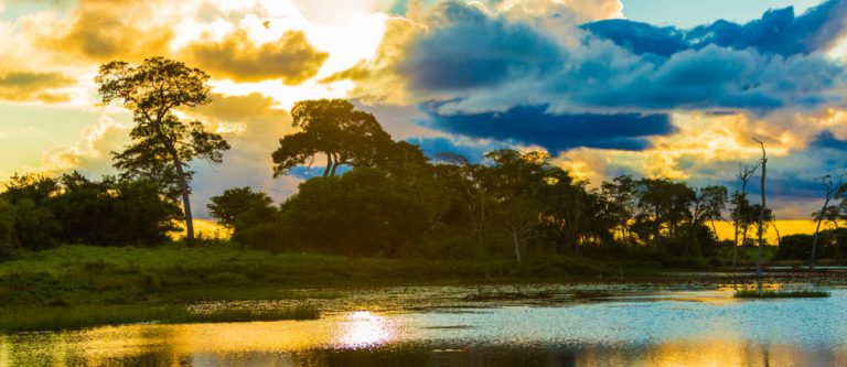 Most Biodiverse Countries On Earth Textbook Travel