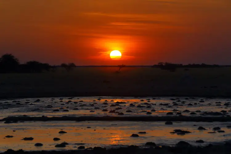 Sunset at the waterhole, Botswana