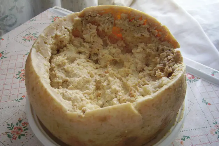 Casu Marzu