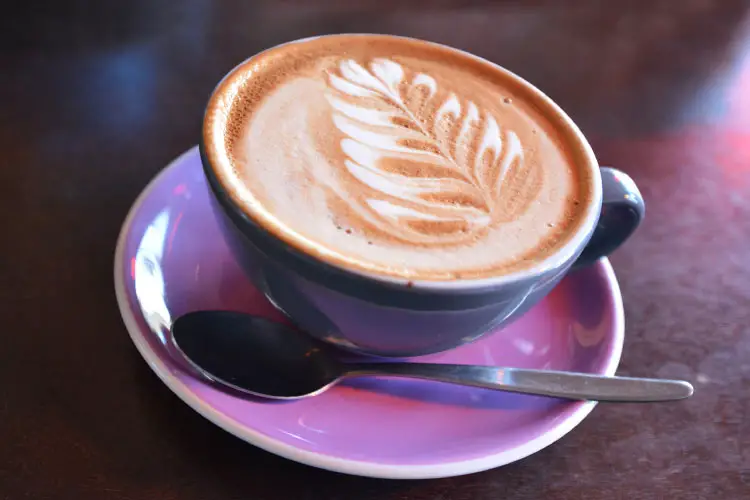 Flat white coffee decorated with the New Zealand iconic symbol the silver fern on it