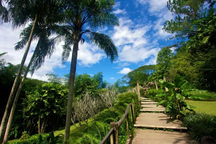 Garden of the Sleeping Giant, Fiji