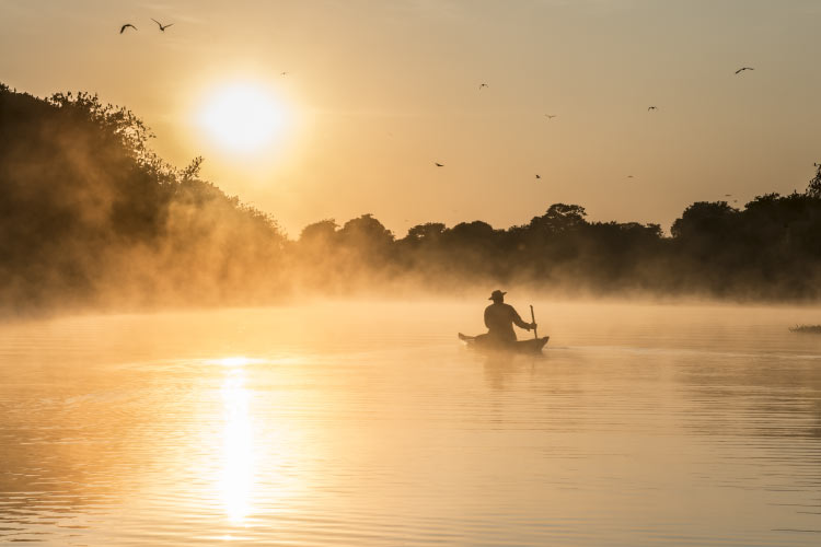 Into the Amazon, Rondonia