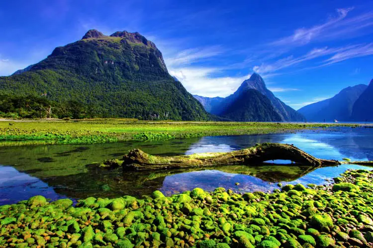 Mirror Lakes, Milford Sound