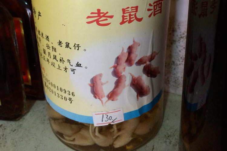 Mouse Fetus Wine