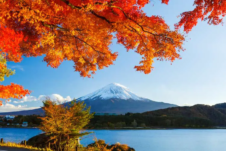 Mt Fugi in Autumn, Japan