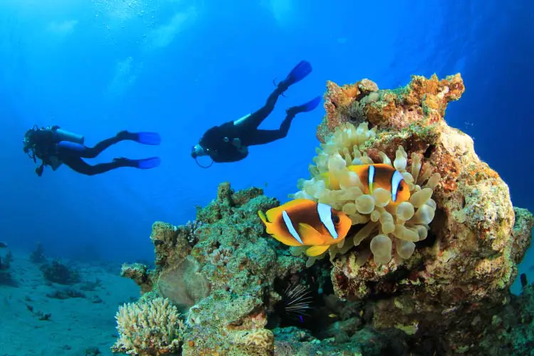 Scuba Diving in Dahab