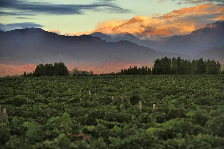 Snow Capped Mountains of the Andes in Mendoza, Argentina