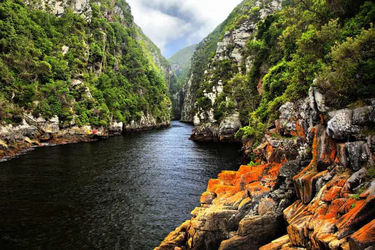 Storms River, Eastern Cape, South Africa