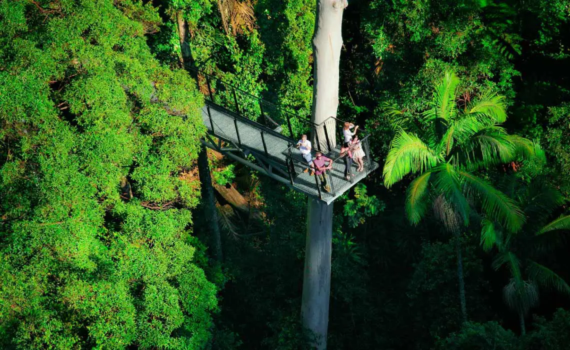 Tamborine Mountain Rainforest Skywalk, Gold Coast, Australia