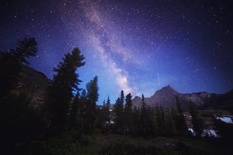 The Milky Way and some trees. In the mountains of Sayan in Russia