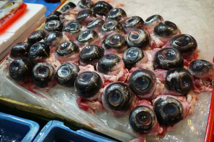 Tuna Eyeballs