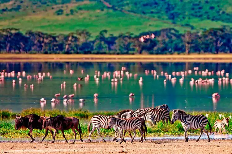 Ngorongoro Crater, Tanzania