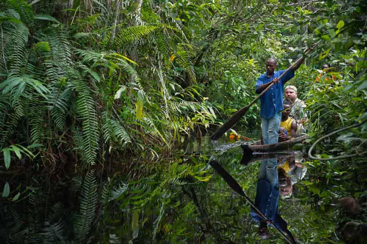 What is Ecotourism? Take a Pirogue ride in Congo, Central Africa to find out!